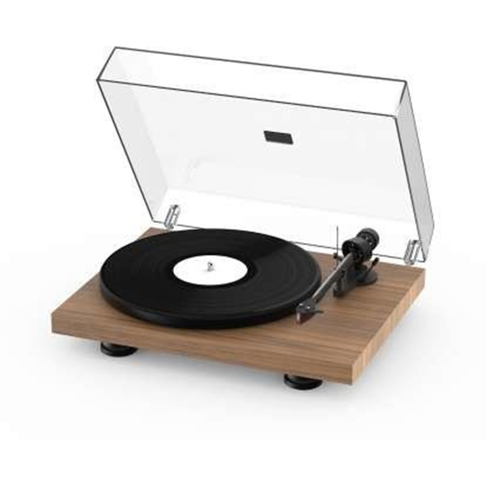 PRO-JECT DEBUT CARBON EVO (2M RED) – WALNUT