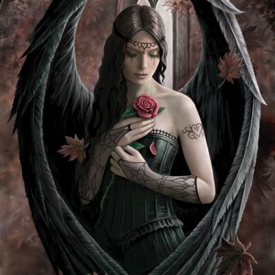 ANNE STOKES – ANGEL ROSE (MAXI POSTER)